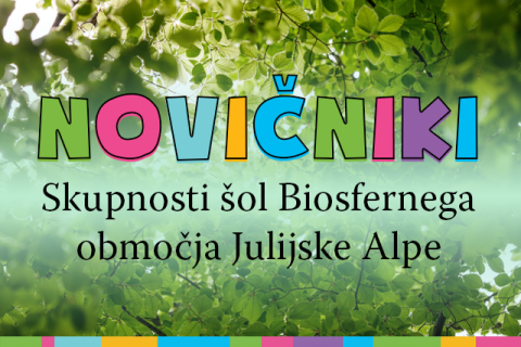 Dekorativni element