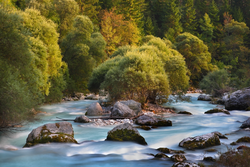 The photograph shows a natural scene. A river with bluish water flows over a rocky bottom. There are large rocks of various sizes in the river. In the middle of the river is a small island surrounded by trees. On both banks of the river, there is dense gr