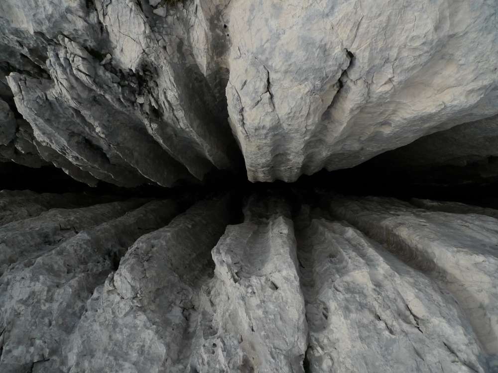 Karst: Exceptional adaptability of animals and plants