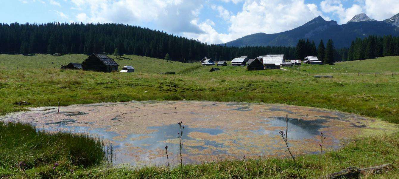 What is a sinkhole pond?
