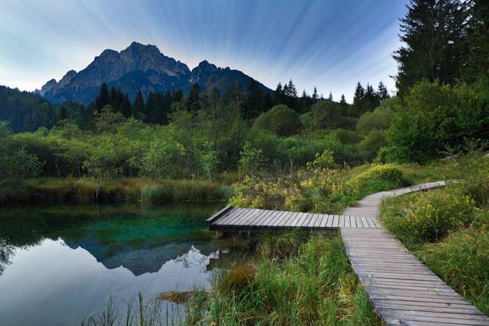 Zelenci