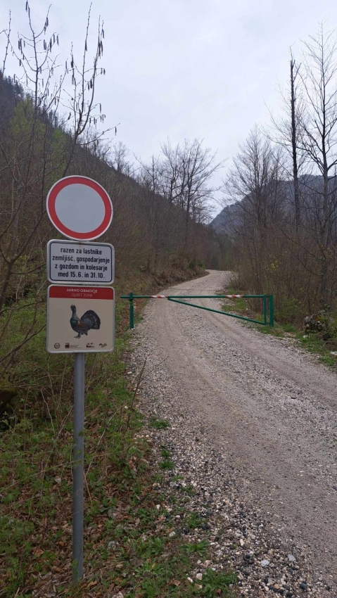 Poostren nadzor nad upoštevanjem prepovedi kolesarjenja na odseku Radovna - planina Klek