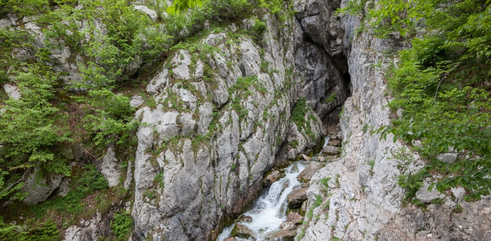 An image showing a mountain landscape with a river flowing through a narrow gorge. In the center, a river runs over rocky terrain. The river is flanked by high, gray, rocky walls that are overgrown with green trees and plants in some places. The water flo