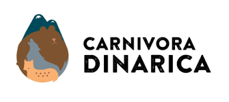 Dekorativni element