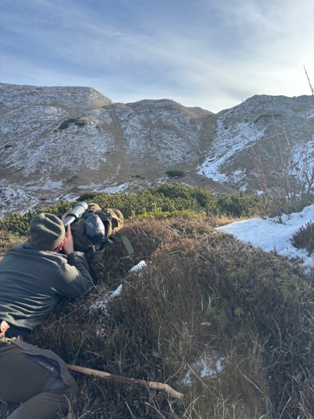 Spremljanje stanja prostoživečih vrst v visokogorju