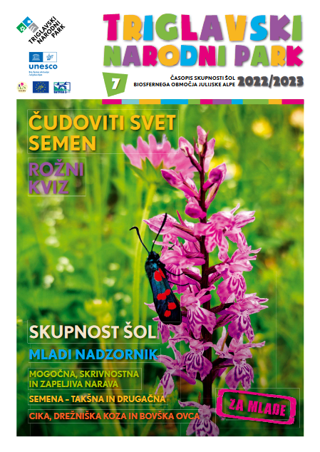 Dekorativni element