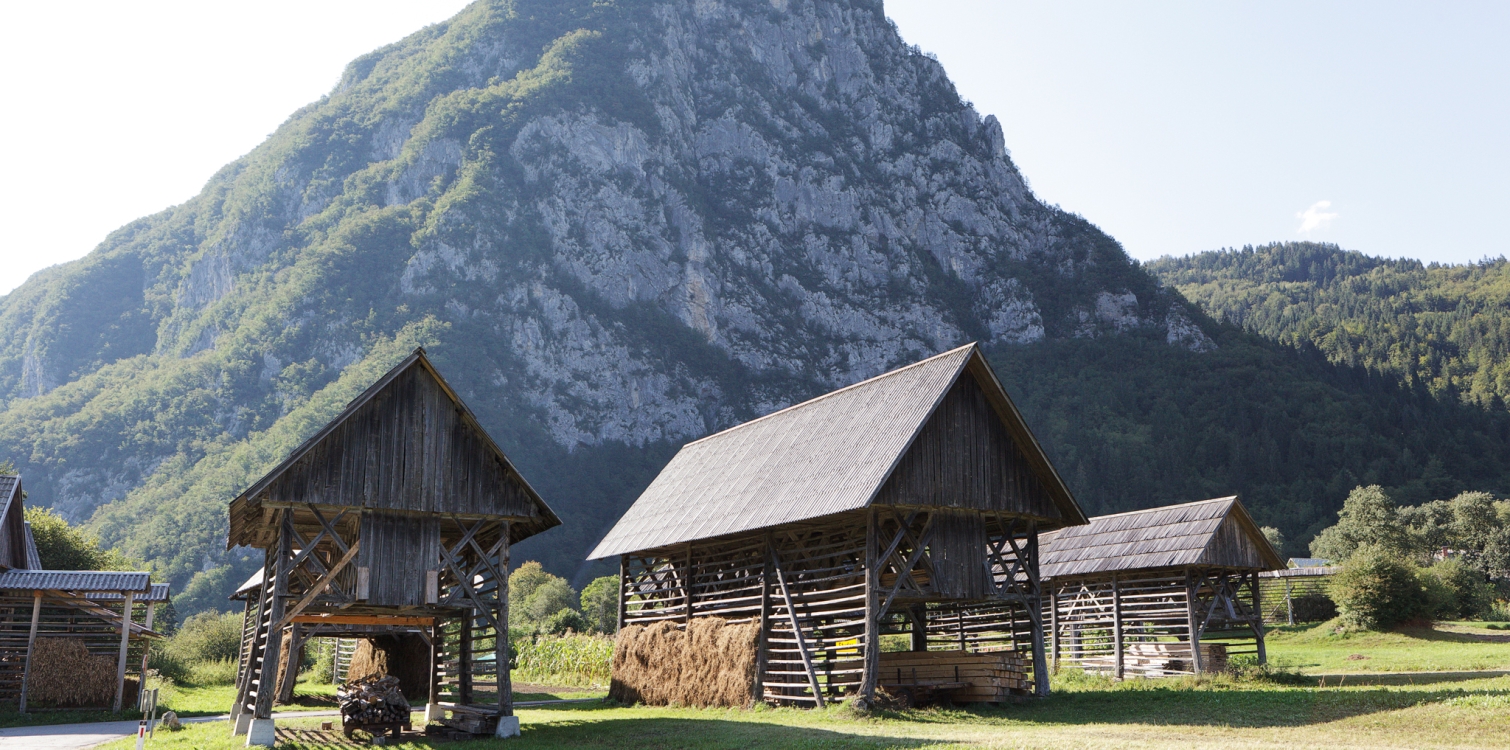 Križanka: Šege, navade in druga kulturna dediščina v Julijskih Alpah