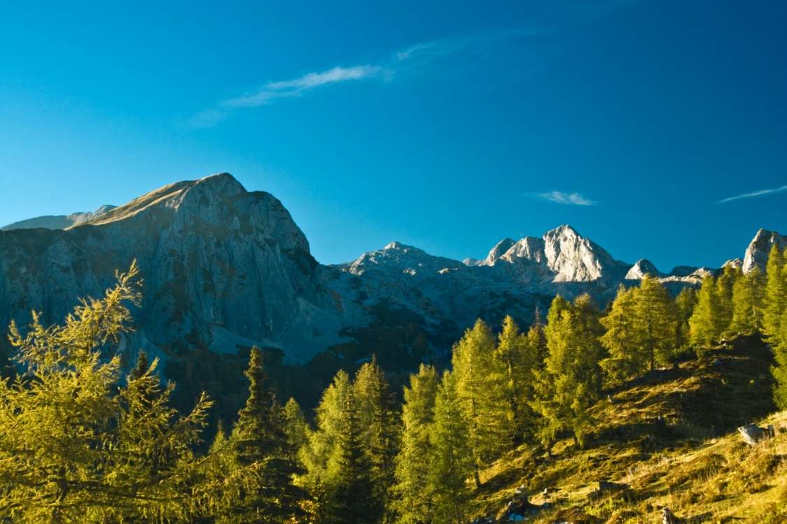 Biosphere Reserve Julian Alps