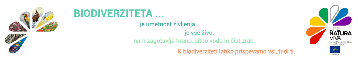 Dekorativni element