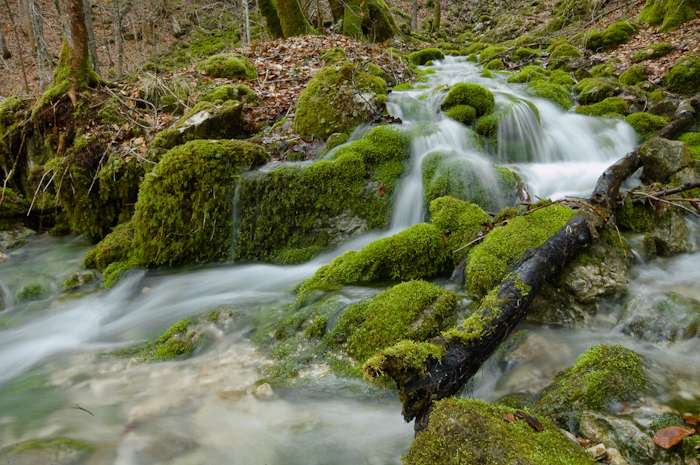 Od izvira do pipe | Podrobnosti vsebine | Triglavska zakladnica