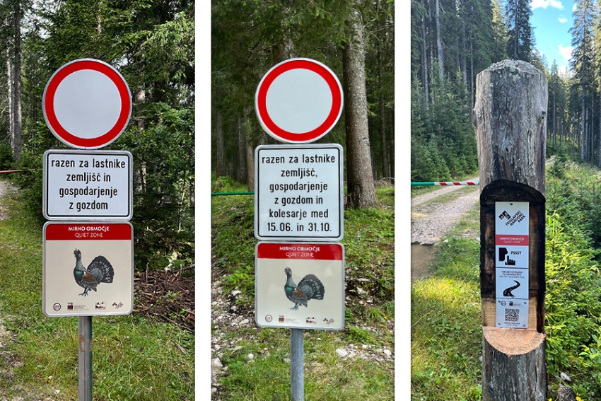 Quiet zones in Pokljuka: reserved for nature