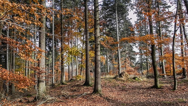 Napovedujemo: Simpozij Eno zdravje – en planet (21. 11. 2025 na Bledu)