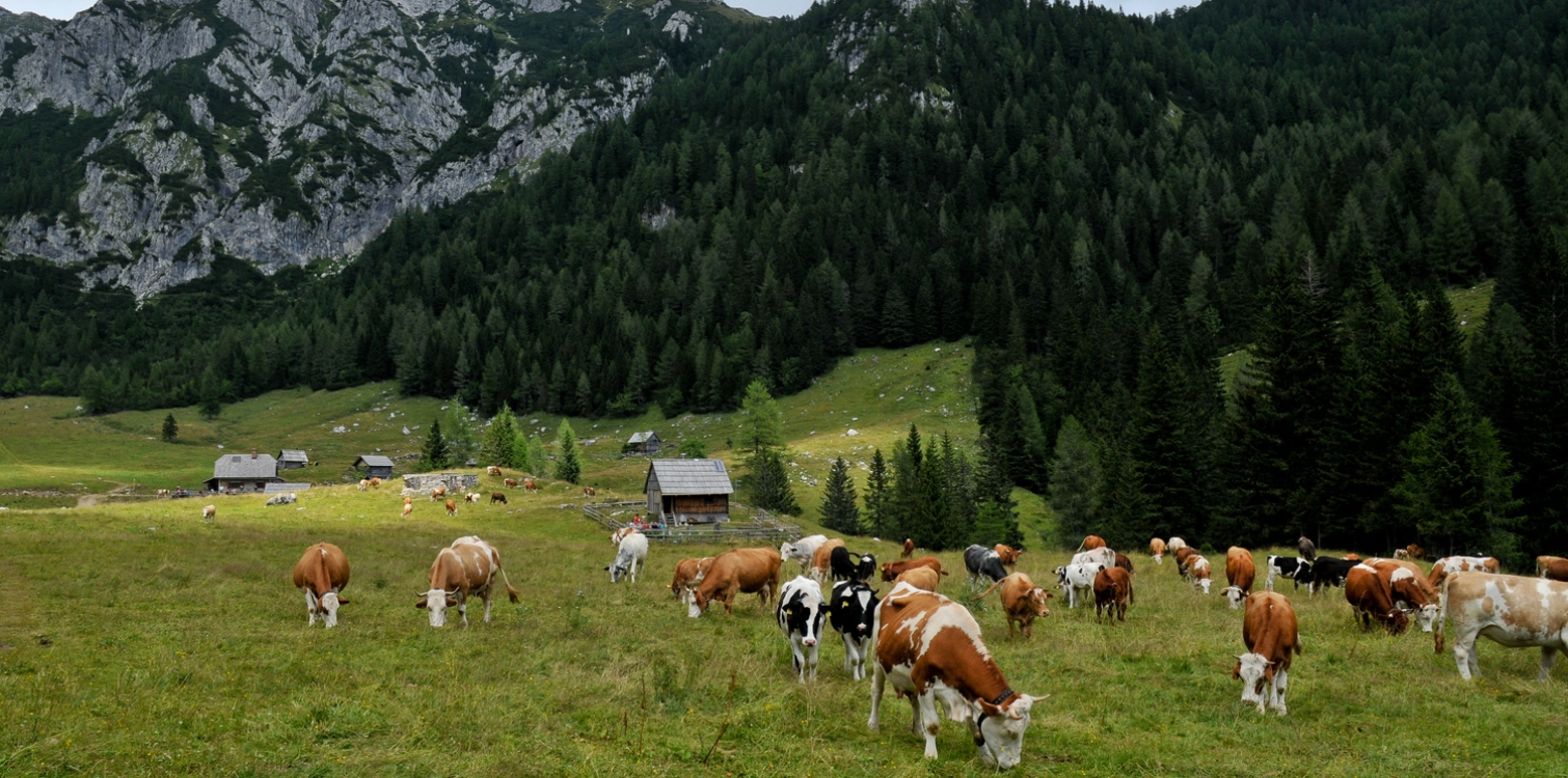 Pastirji in rudarji – prvi naseljenci Julijskih Alp