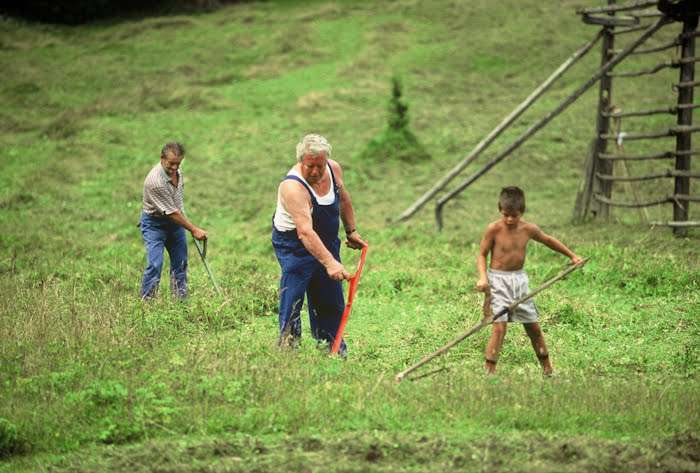 Life as a farmer in the past