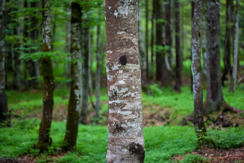 Novost: Enostaven način spletne oddaje ponudbe za prodajo zemljišč 