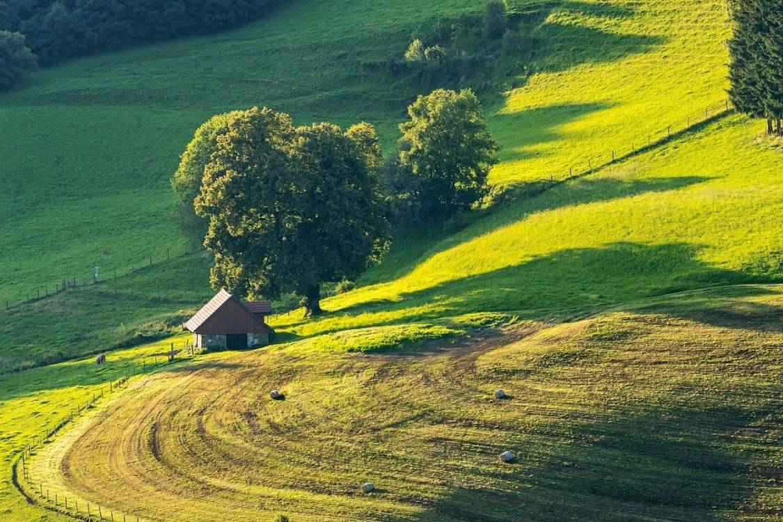 O tradicionalni in intenzivni rabi