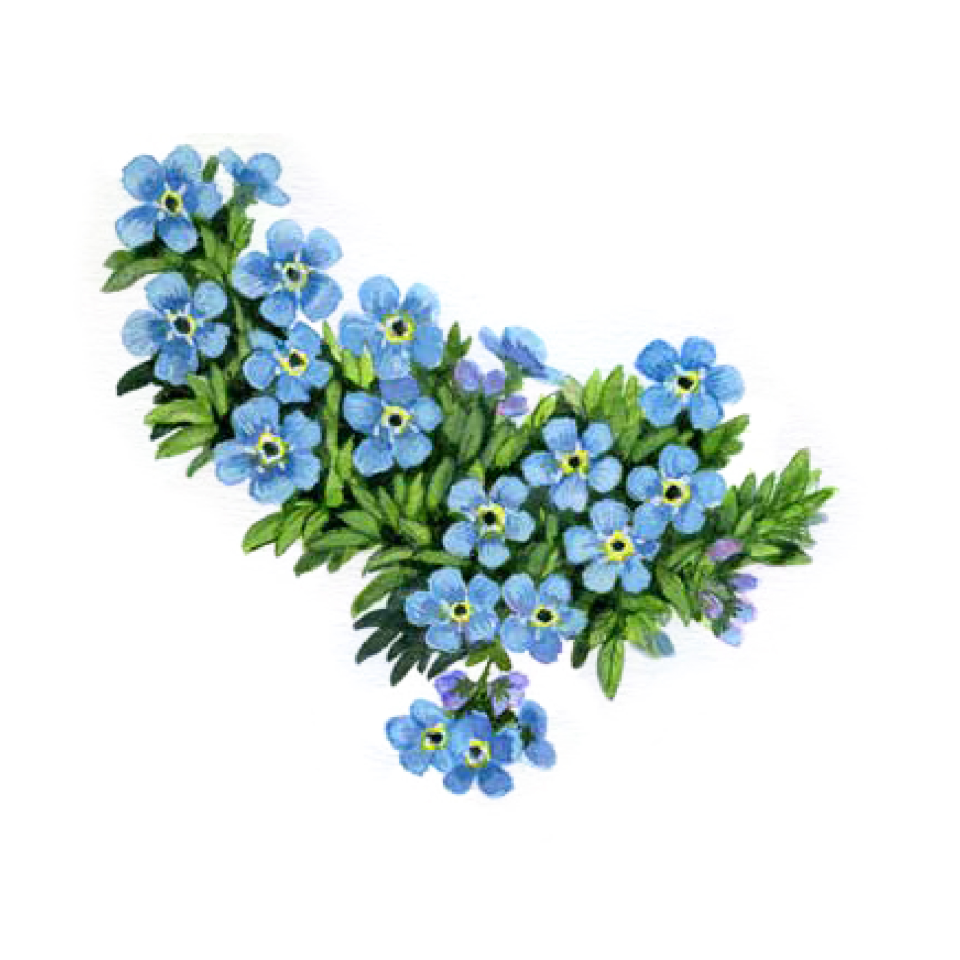 Decorative element