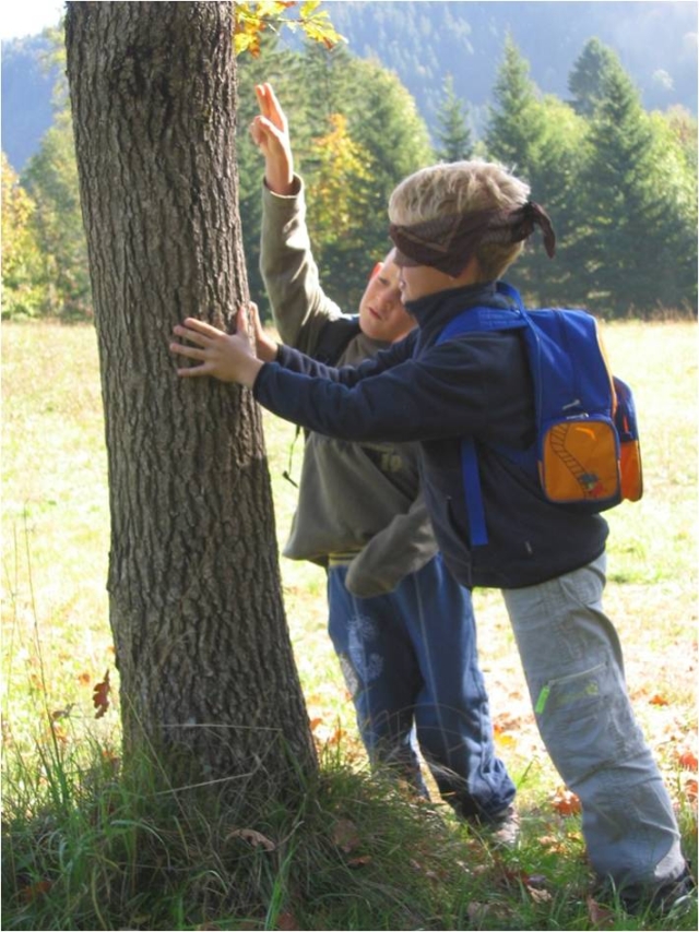Na fotografiji sta dva otroka, eden kaže na drevo, drugi ga z zavezanimi očmi tipa. V ozadju je travnata pokrajina, kjer se dvigujejo drevesa in v ozadju velik hrib