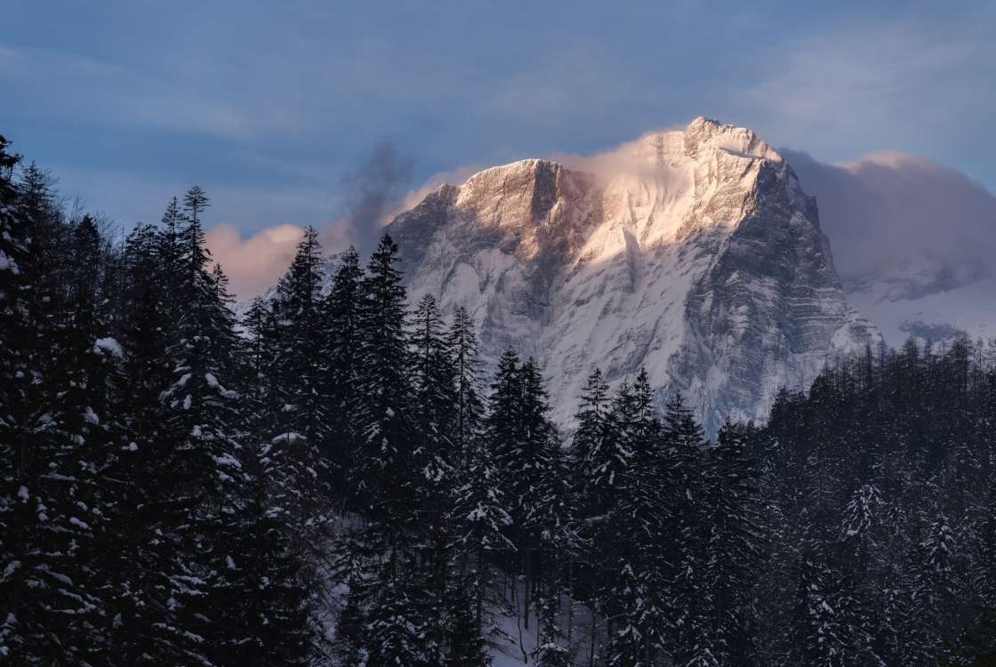 Winter forest face
