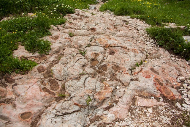 The photo shows a path in nature, probably in the hills. The path is made of large, gray, rocky stones that have brown-orange hues. These stones are mostly smooth, but also have many cracks. Some of the stones are very large and have irregular shapes, as