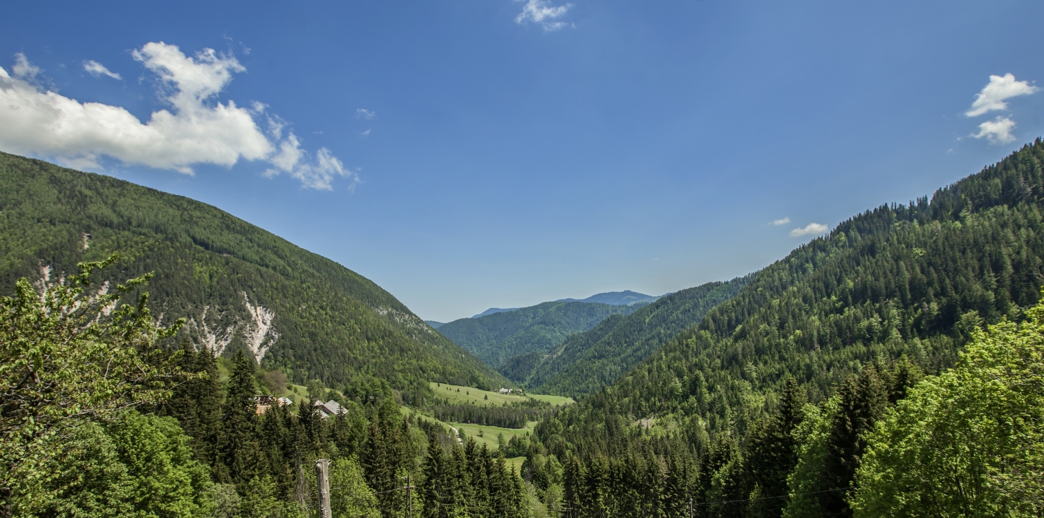 Zavarovana območja Slovenije