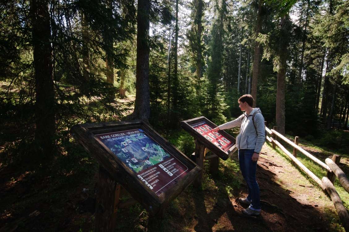 Peat bogs in the Triglav National Park