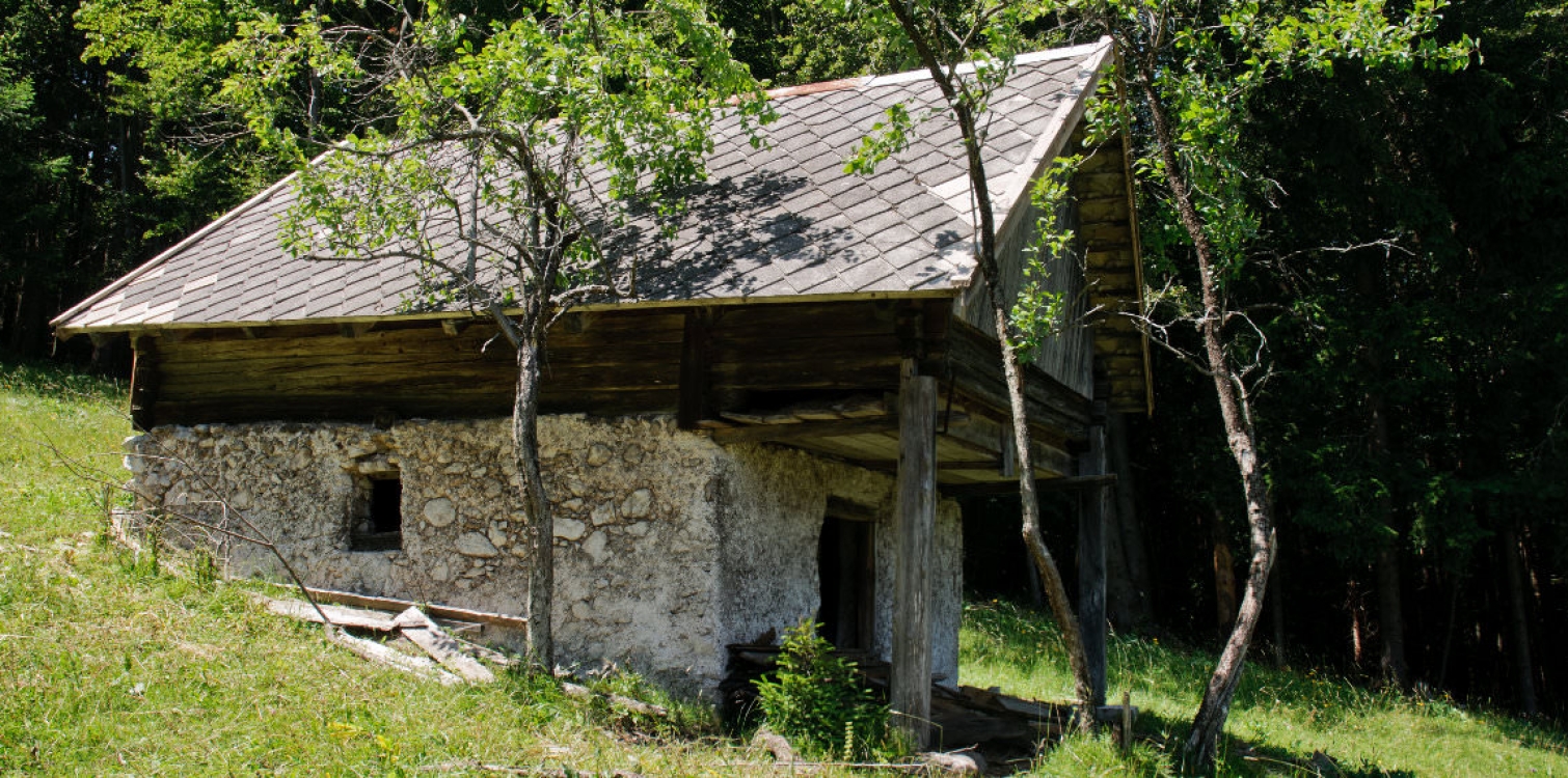 Križanka: Kulturna dediščina Julijskih Alp