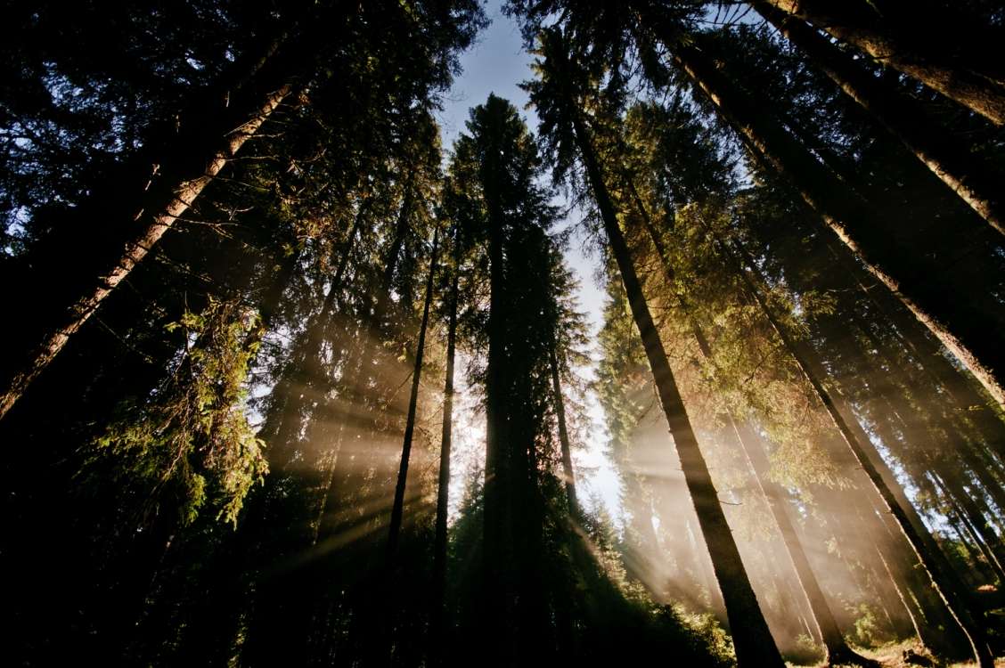Mighty, mysterious and seductive nature