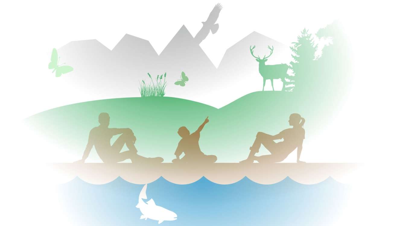 Biodiverziteta – umetnost življenja