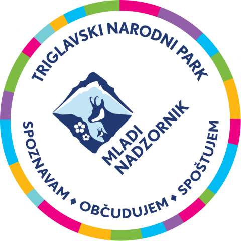 Dekorativni element