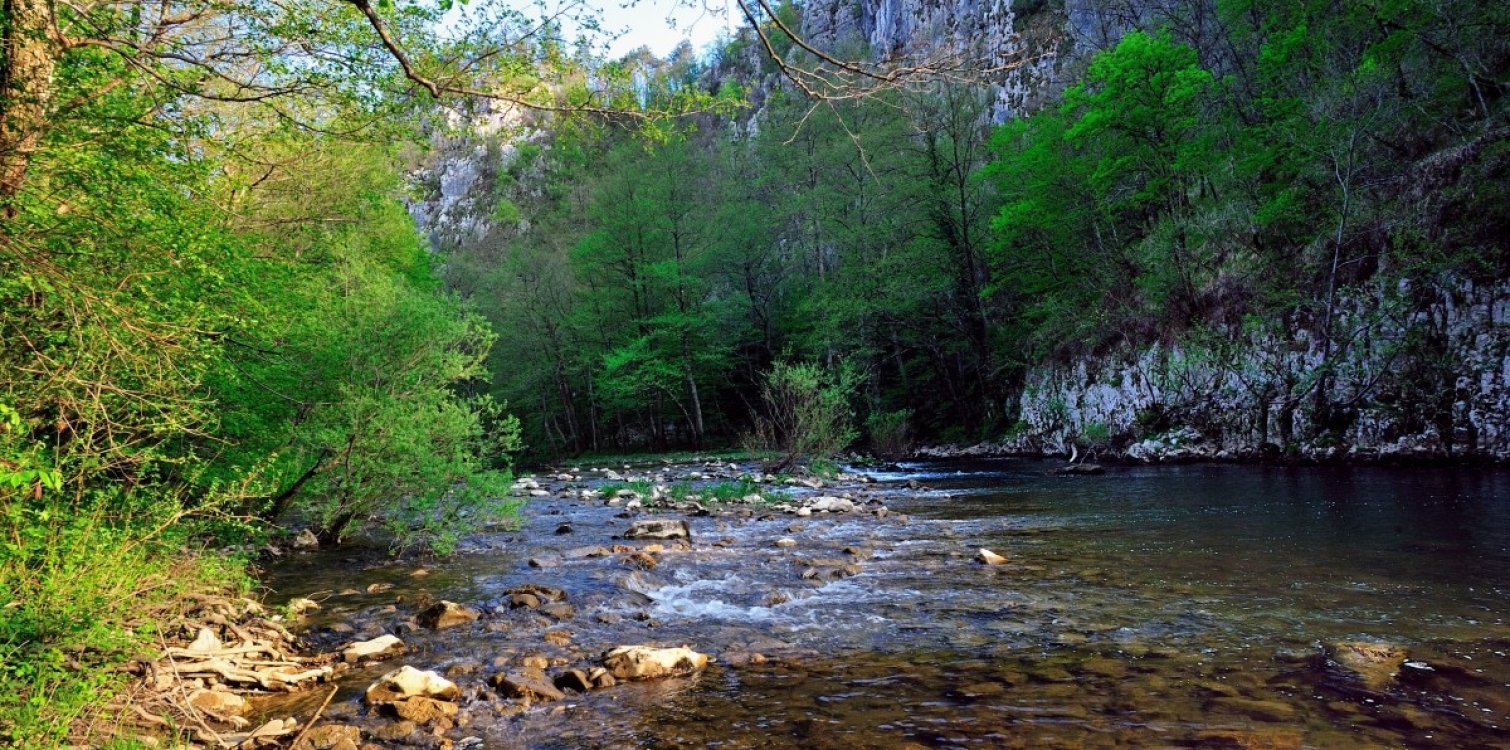 Značilnosti reke Reke ter življenje v in ob njej