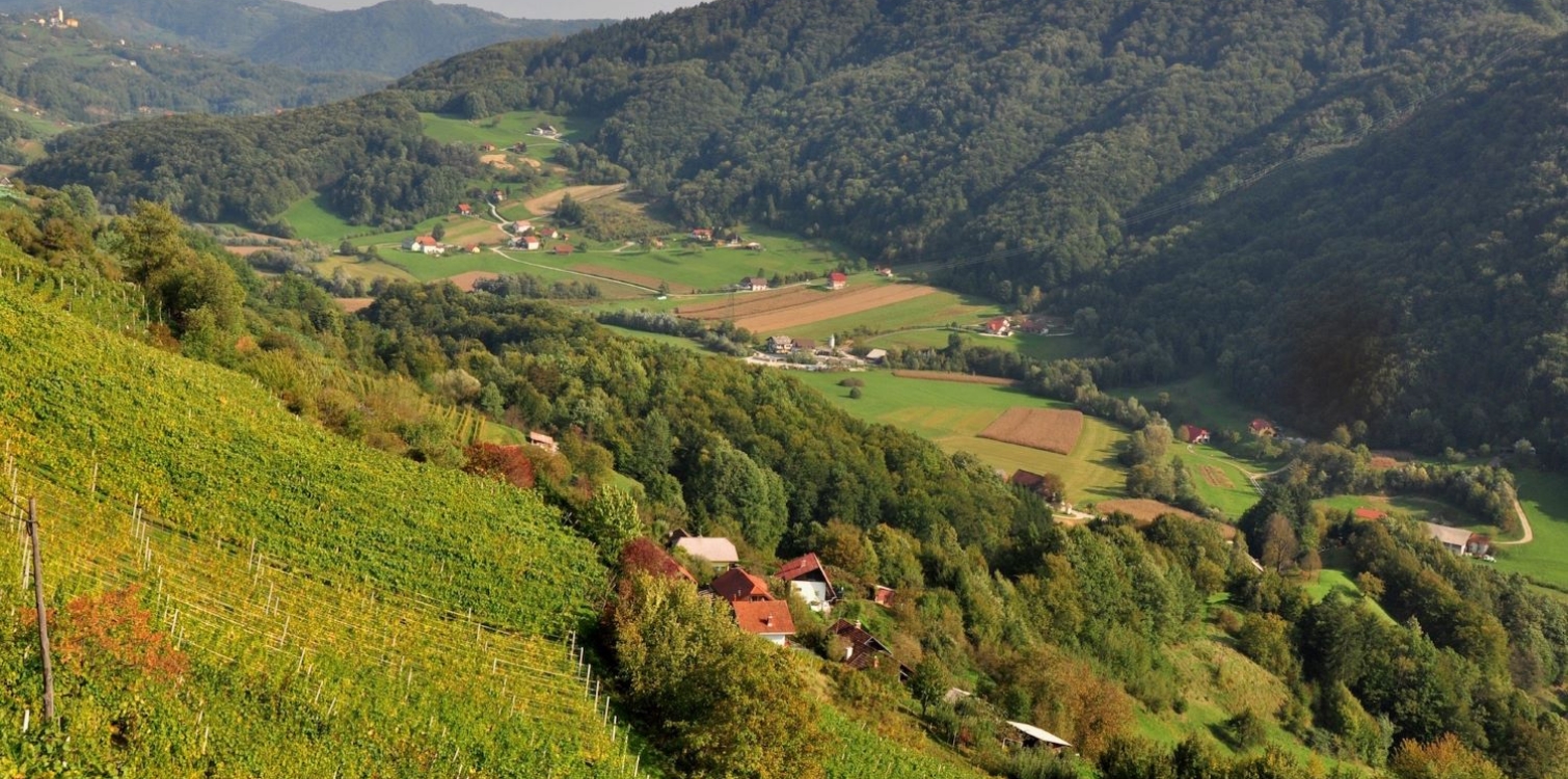 Biosferno območje Kozjansko in Obsotelje