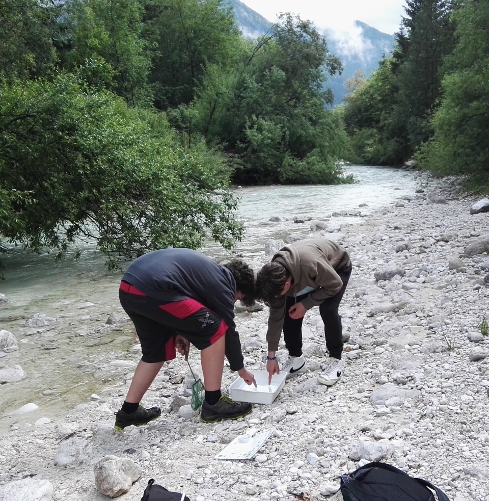 Na fotografiji je prodnata pokrajina, čez katero teče reka, ki jo obraščajo drevesa. Na rečnem bregu stojita dva fanta, ki kažeta v plastično posodo, v katero gledata